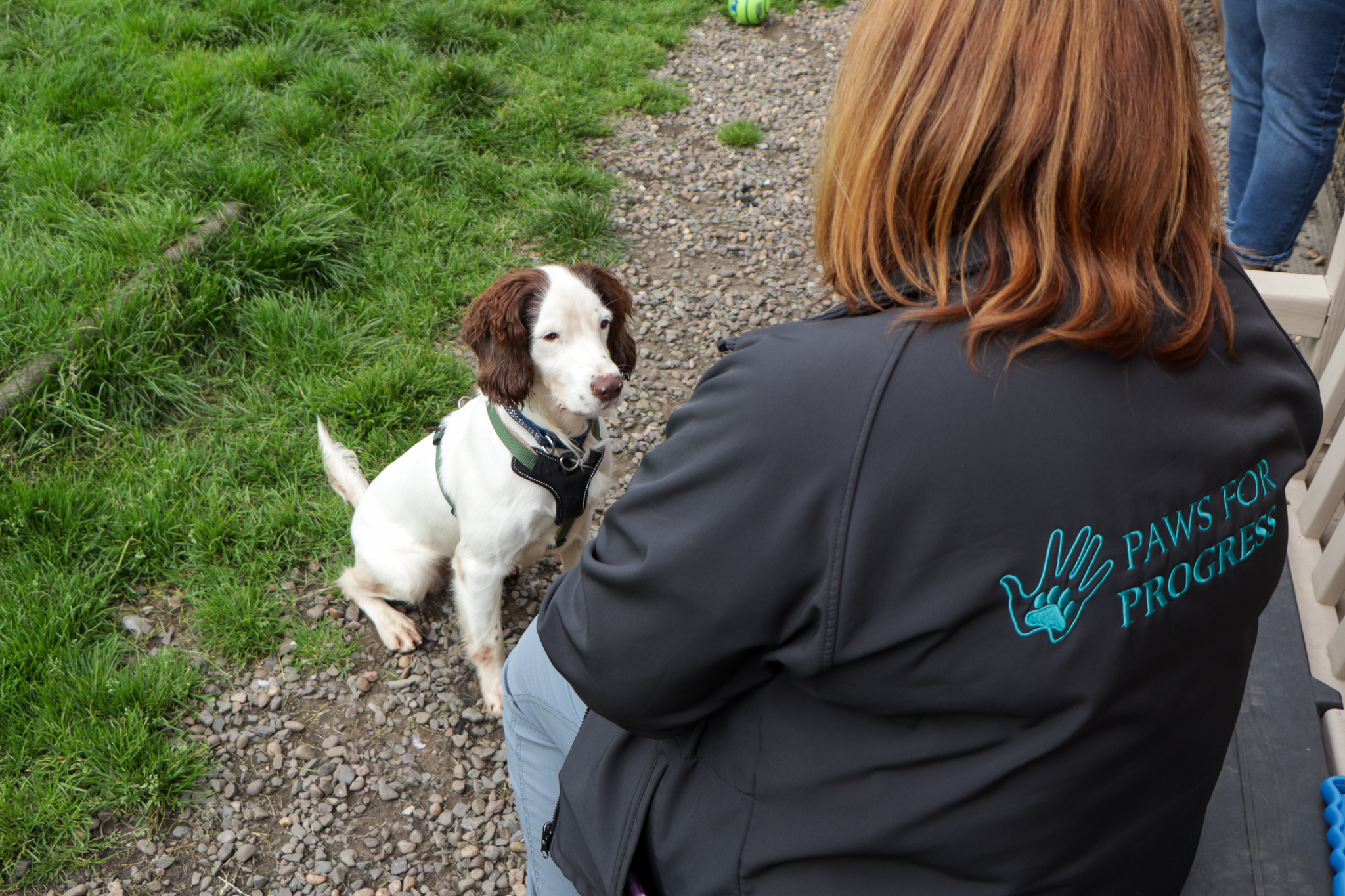 Finn (rehomed) and June McPhillips, Training Instructor at Paws for Progress