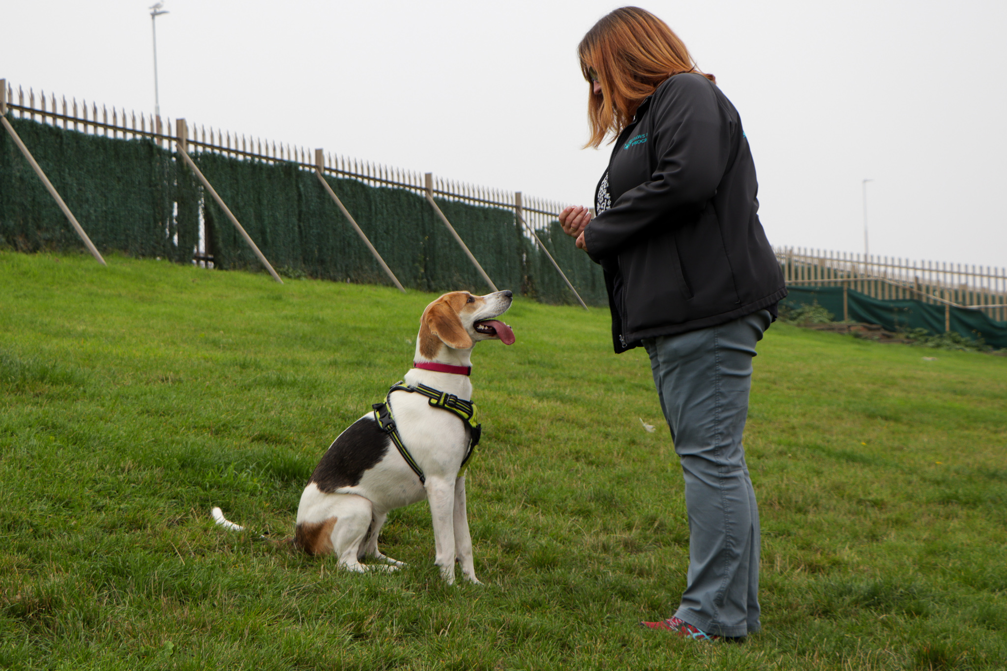 Lola (rehomed) and June McPhillips, Training Instructor at Paws for Progress