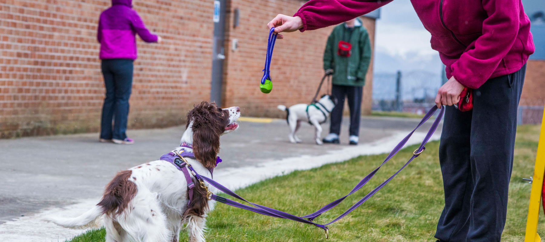 People and dogs togetherUnleashing potential, improving lives