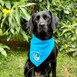 Press Release 3/9/26: Rescue dog Penny joins Kiltwalk challenge to help young people and dogs